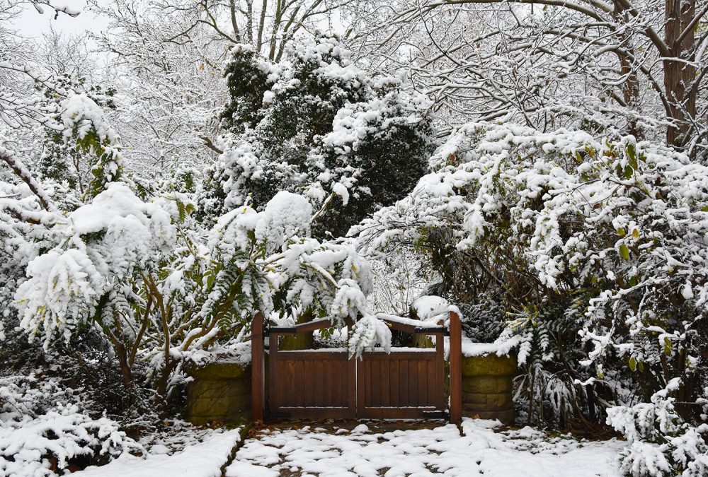 Twitter / @RoyalFamily